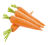 Carrot (Gaajar)